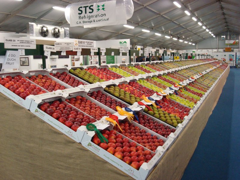 Competition Fruit at The National Fruit Show